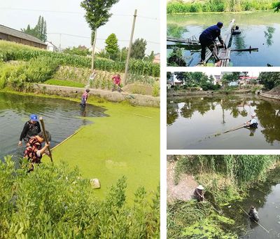 保衛綠水青山 羅塘街道水污染防治工作如火如荼