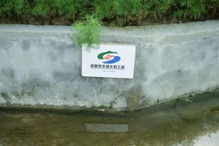 王場(chǎng)鎮(zhèn)重拳出擊 關(guān)閉養(yǎng)殖場(chǎng)，深化水污染治理，守護(hù)碧水清流